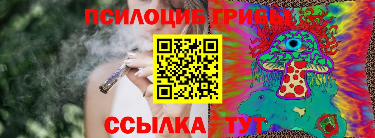 Галлюциногенные грибы прущие грибы  Галлюциногенные грибы Psilocybine cubensis  Железноводск  Вход с VPN 